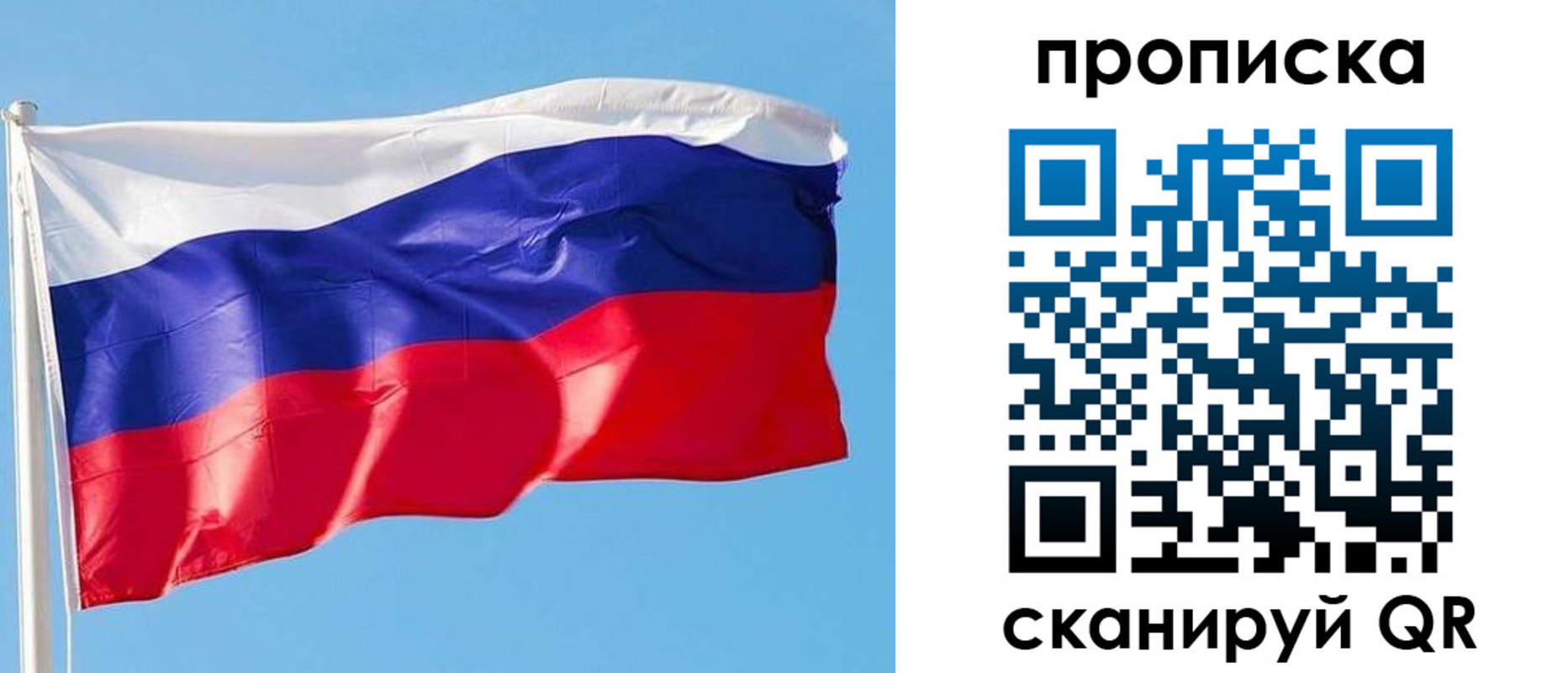 прописка поиск в Струнино